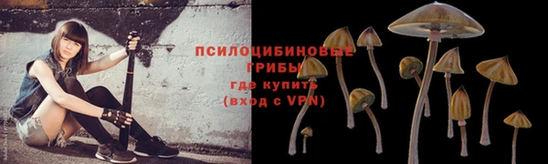 гашик Ельня