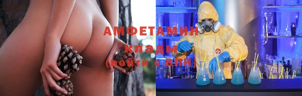 гидра Алексин