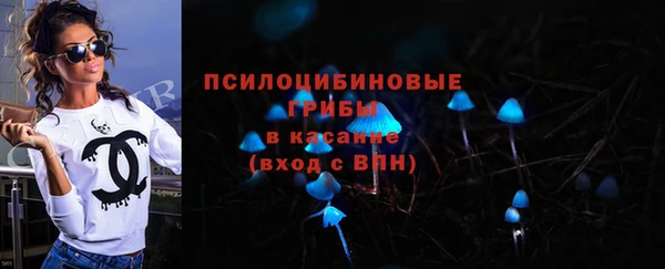 гидра Алексин