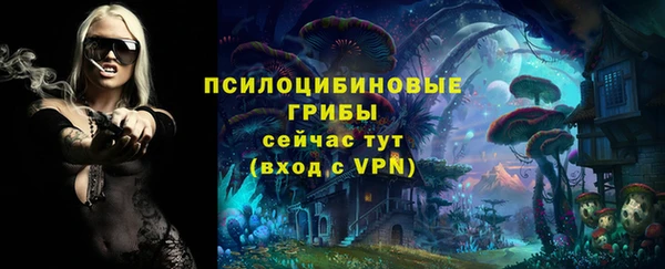марки nbome Алзамай