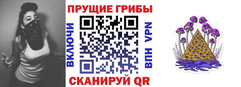 Псилоцибиновые грибы Psilocybine cubensis Николаевск